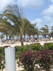 Tropical but not long haul