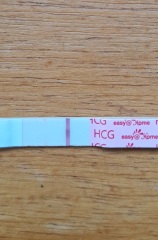 HELP!! Evap lines or faint positive?!