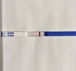1dpo buddies