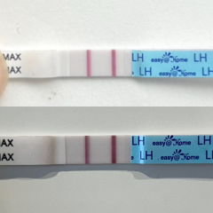 Positive ovulation test?