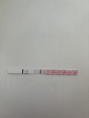Anyone else get evaps on easy at home tests?