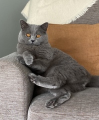 Thread 13 - TalkLair: “I say we take off and nuke the entire site from orbit. It's the only way to be sure.”