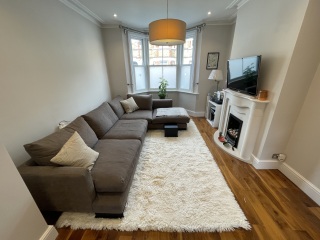 Sofa and rug too big?