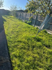 Garden design/planting