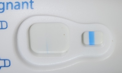 The dreaded clearblue. Plz take a look.
