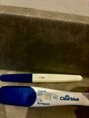 clear blue a positive or evap line?