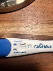 17 DPO | cycle day 33 | clear blue test