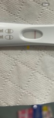 11dpo bfn.. but was so convinced I’m pregnant?!