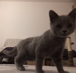 Thread 13 - TalkLair: “I say we take off and nuke the entire site from orbit. It's the only way to be sure.”