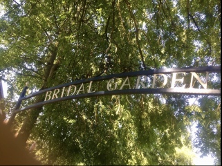 Anyone from Manchester who can think of any green spaces / reservoirs where there are less likely to be dogs?