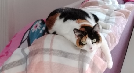 Our two girls come home tomorrow