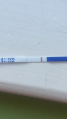 Anyone want to join for two week wait?