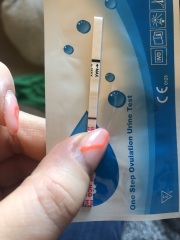 Positive tests or dye run?