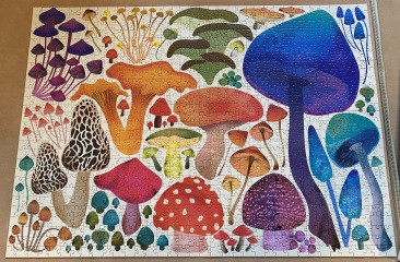 Anyone fancy a new jigsaw thread?