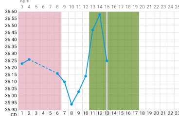 More ovulation questions…