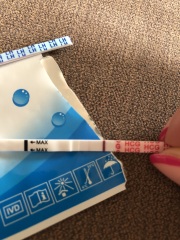 Positive tests or dye run?