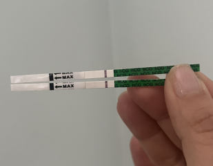 Opinions on tests - positive?!