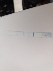 Inside clear blue early detection digital