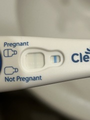 16 days dpo, faint positive lines, worried