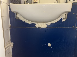 Mice infestation temporary housing