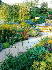 What to do with new garden?