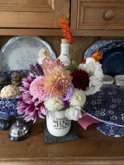 Is anyone ready to be excited about dahlias yet?