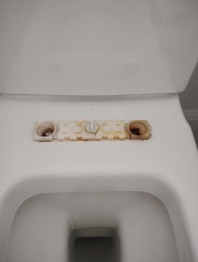 Replacing toilet seat