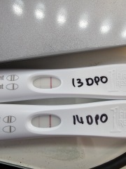 Should I prepare for the worse?