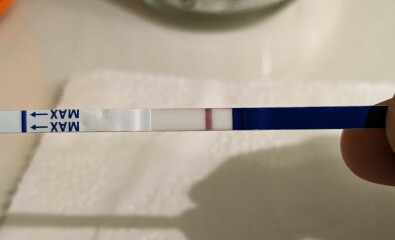1dpo buddies