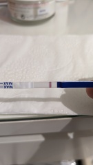 1dpo buddies