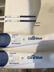 Evaps, indents or early positive? Help!!