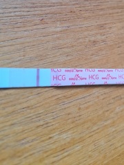 HELP!! Evap lines or faint positive?!