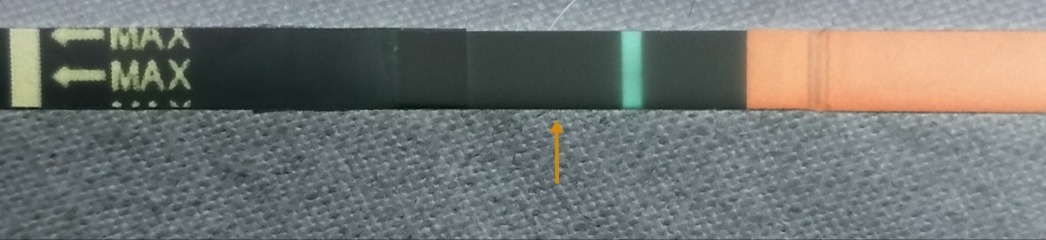 Two week wait anyone?