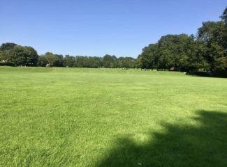 Anyone from Manchester who can think of any green spaces / reservoirs where there are less likely to be dogs?
