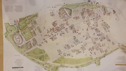 Pompeii (with disabled relative)