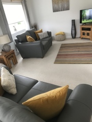 Curtain choice with new rug