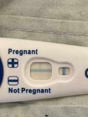Am I pregnant… clear blue test