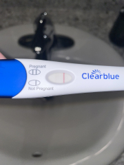 12 ovulation days in a row (2 peak, 10 high), maybe a faint positive, so confused