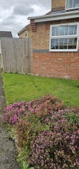Border advice please!
