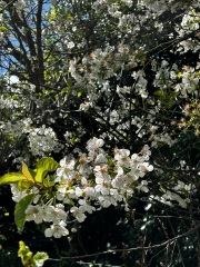 Come and tell me your dull and unexciting news 29: Calmly through the day