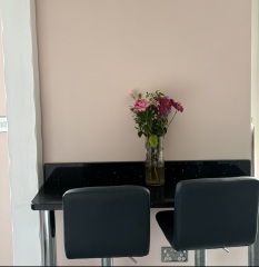 Opinions on this kitchen colour?