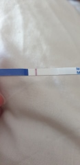 3dpo