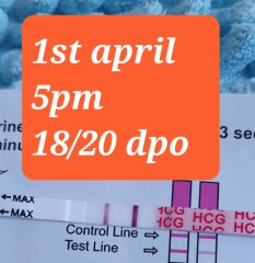 Dec-Christmas Babys 2024