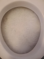 Please Help the toilet is blocked