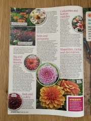Gardening magazine, which one?