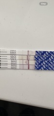 17 dpo faint line -chemical or pregnant?
