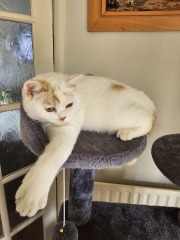 Missing since 5pm