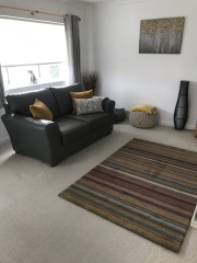 Curtain choice with new rug