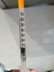 Continuing Mounjaro...part 5