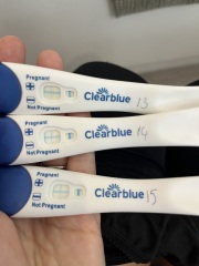 Early Pregnancy under Dr Shehata CRP Clinic